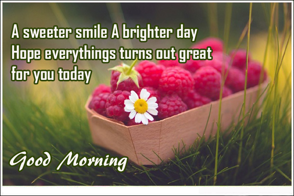 good-morning-quotes-brighter-day.jpg